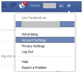 Facebook 1