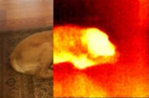 Thermal 