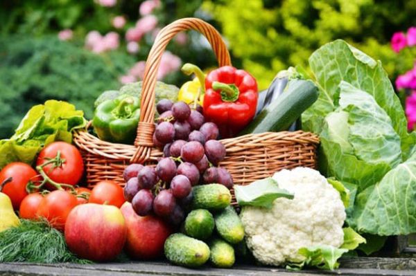 Ilustrasi sejumlah makanan yang dapat memulihkan penyakit ginjal lebih cepat (healthxchange.com.sg)