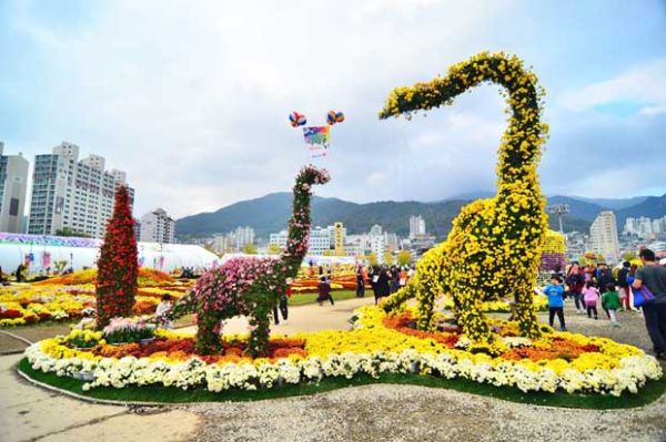 Festival Seosan Chrysanthemum