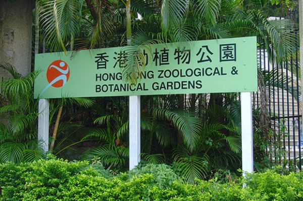 Yuk Wisata ke Tempat Gratis di Hong Kong!