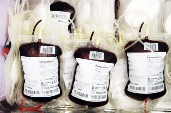 donor darah