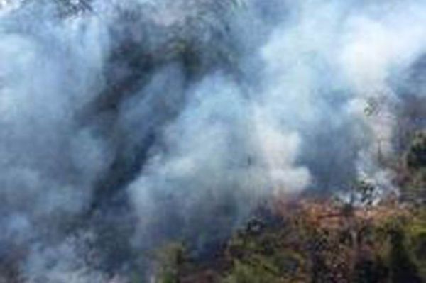 50 Hektare Hutan Perhutani di Pangandaran Terbakar
