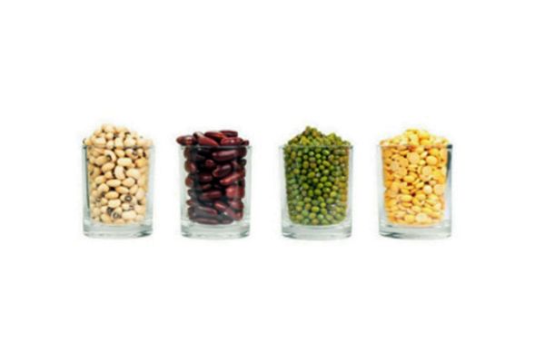 kacang-kacangan