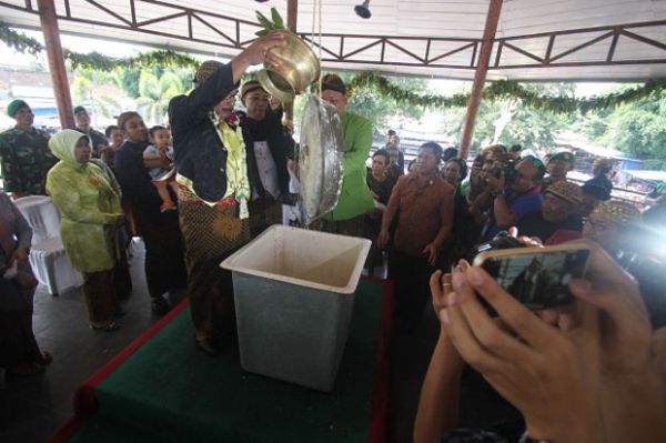Berebut Air Jamasan Gong Kiai Pradah