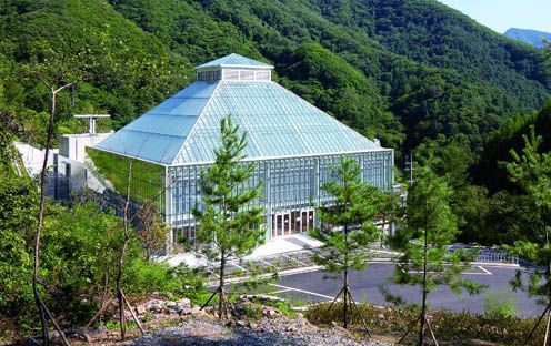 Light of Life Church, Seoul