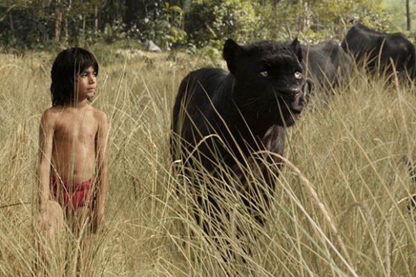 The Jungle Book The Jungle Book