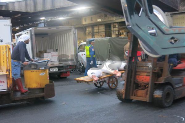 Tsukiji Fish Market