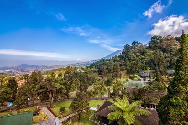 7 Hotel di Bawah Rp1 Juta untuk Liburan Keluarga di Puncak