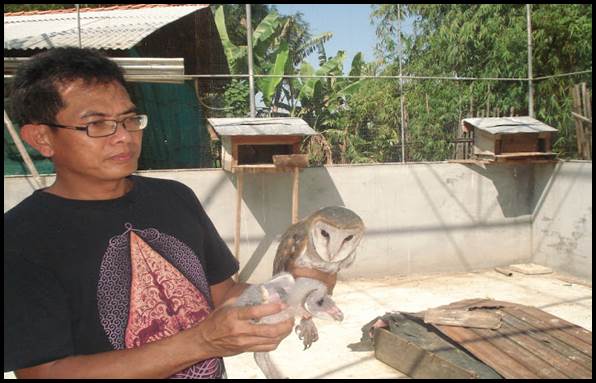 Pujo Arto