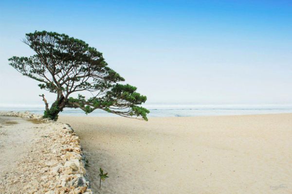 5 Pantai Tersembunyi Super Cantik di Yogyakarta