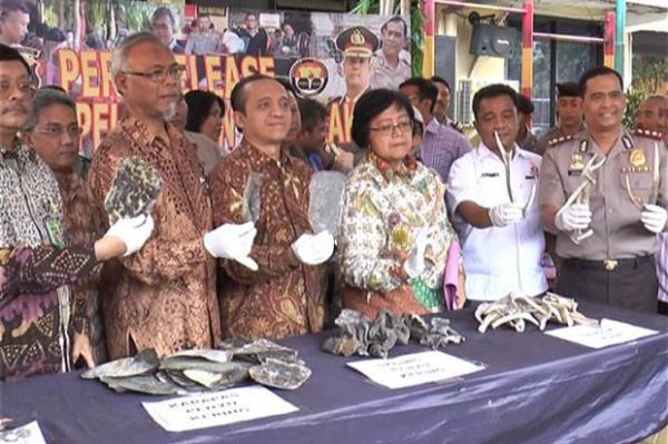 Polisi Gagalkan Penyelundupan Satwa Dilindungi yang Diawetkan