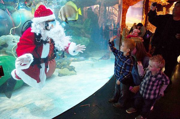 Scuba Santa (dailymail)