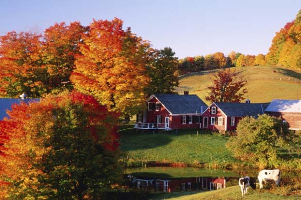 musim gugur di vermont-foliage USA (tulip-travel.com)