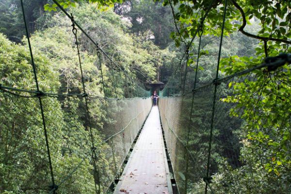 6 Tempat Wisata Seru di Puncak yang Belum Populer