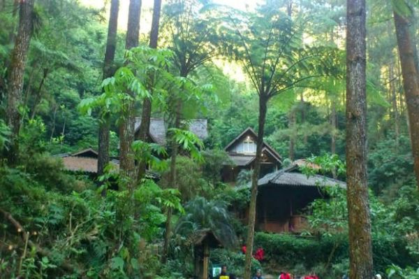 6 Tempat Wisata Seru di Puncak yang Belum Populer