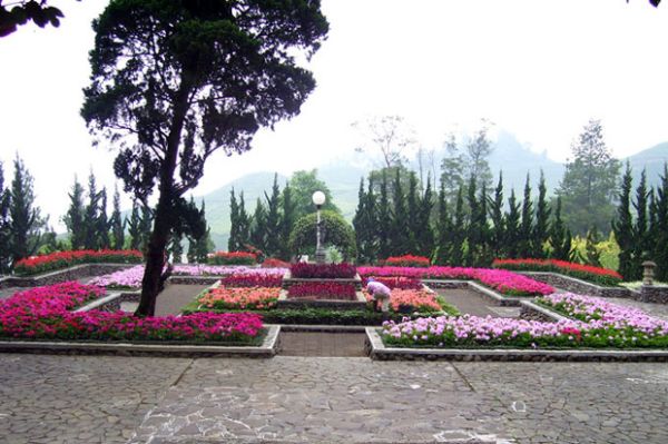 6 Tempat Wisata Seru di Puncak yang Belum Populer