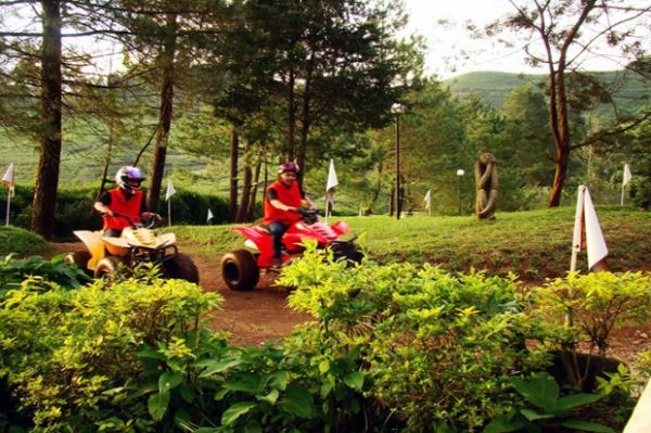 6 Tempat Wisata Seru di Puncak yang Belum Populer