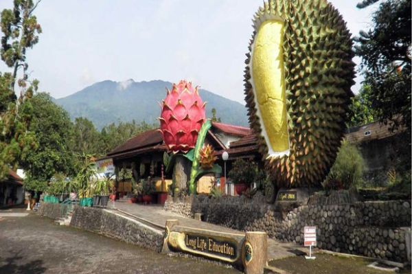 6 Tempat Wisata Seru di Puncak yang Belum Populer