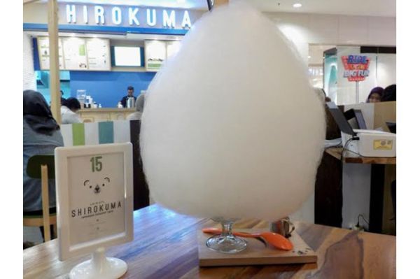 Shirokuma Hadirkan Menu Unik Spesialis <em>Matcha</em>