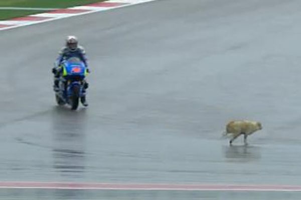 Hujan dan Anjing Nyeberang Ganggu Sesi Latihan Perdana