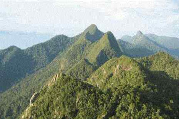 Tujuh Gunung Tertinggi di Indonesia