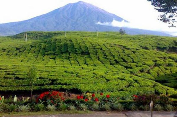 Tujuh Gunung Tertinggi di Indonesia