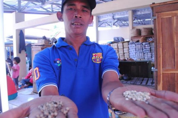 Warga Resah, Merica Palsu Ditemukan di Pasar Pleret