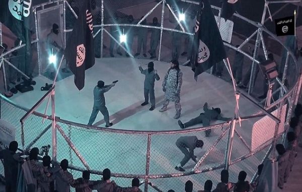 Latih Anggota Baru, ISIS Buat Arena Pertarungan ala UFC