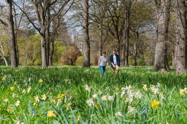 Lima Lokasi Romantis untuk Rayakan Valentine di Selandia Baru