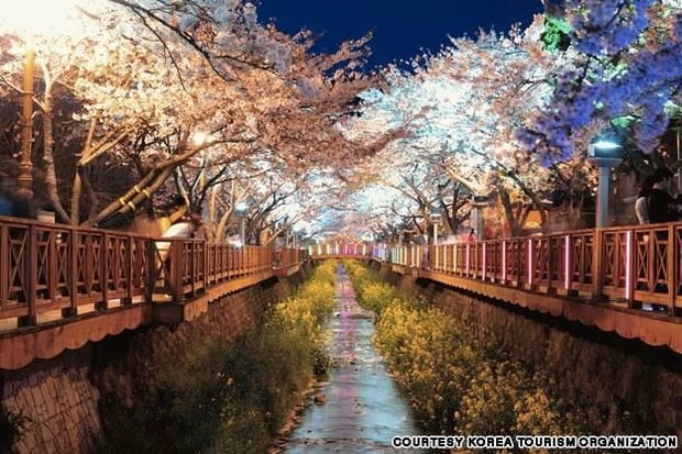 10 Destinasi Wisata Glokalisasi Menarik di Korea