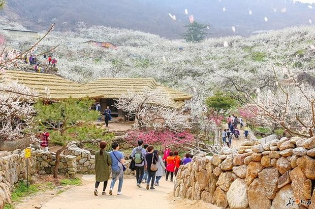 10 Destinasi Wisata Glokalisasi Menarik di Korea