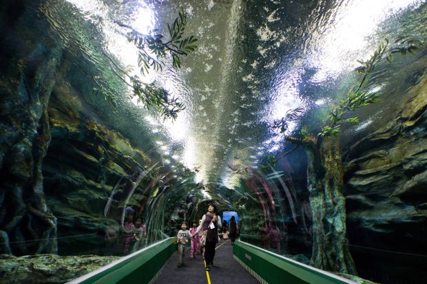 Lotte World