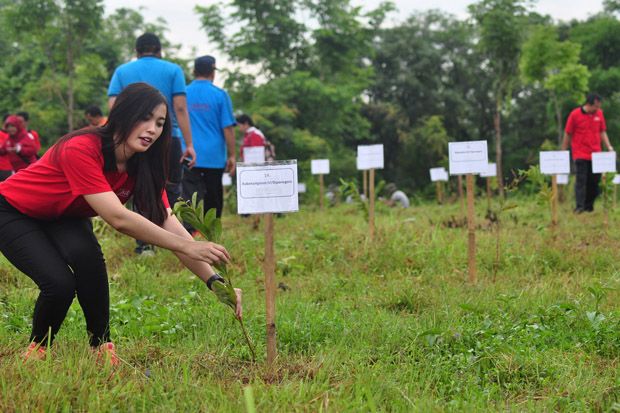 Prajurit Kodam IV/Diponegoro dan Korpri Jateng Tanam 12.000 Pohon