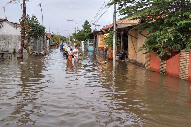 Ombak Besar Terjang Tanggul Laut, Ribuan Rumah di Pekalongan Terendam