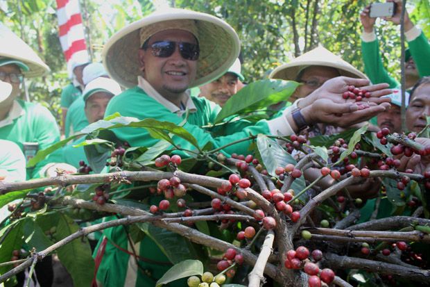 Kapiten, Cita Rasa dalam Secawan Kopi Kualitas Internasional