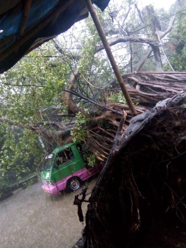 Puting Beliung Terjang Bogor, Pengendara Mobil Tewas Tertimpa Pohon