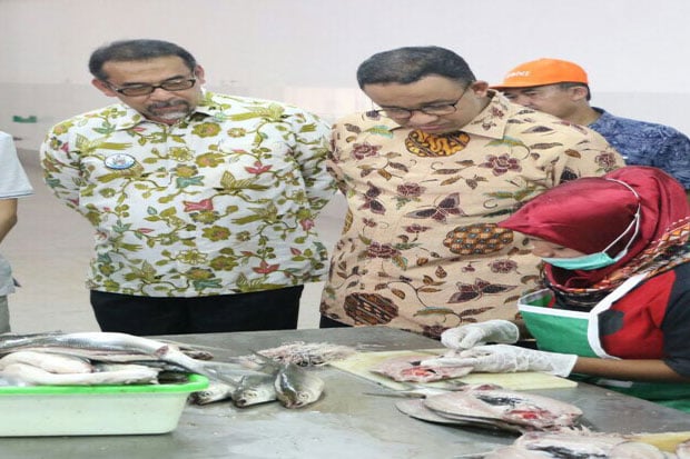 Hadiri HUT Ke-16 Kepulauan Seribu, Anies Beri Makan Ikan Hiu