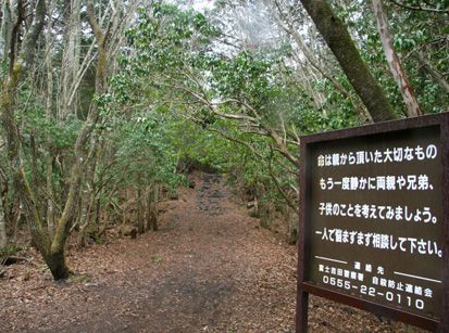 Hutan Paling Indah Nan Misterius di Dunia, Berani ke Sana?
