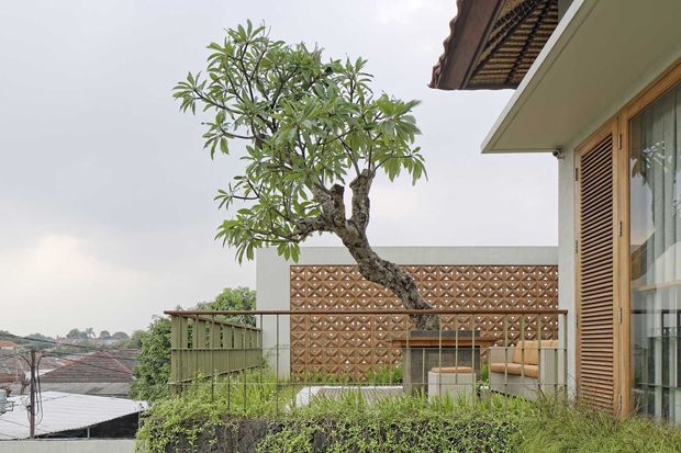 Sulap Ruang Kosong Rumah Anda Jadi Taman Mungil Nan Cantik