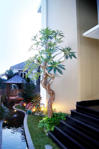 Sulap Ruang Kosong Rumah Anda Jadi Taman Mungil Nan Cantik