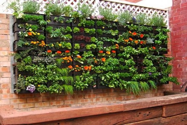 Sulap Ruang Kosong Rumah Anda Jadi Taman Mungil Nan Cantik