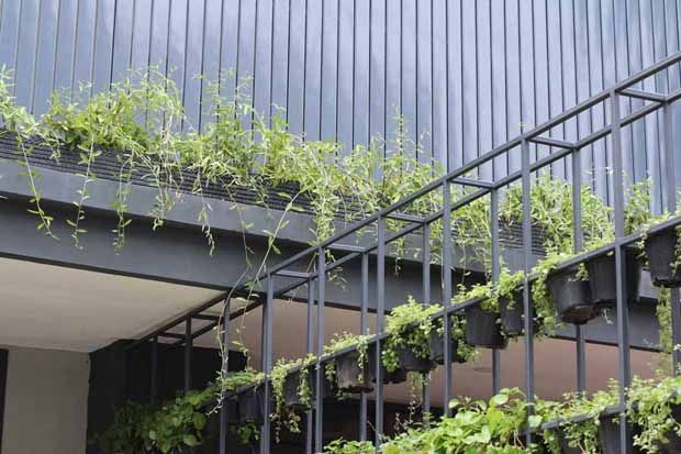 Desain Taman Minimalis Ini Bisa Bikin Rumah Anda Terasa Sejuk