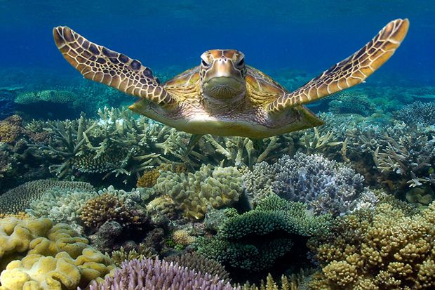 Waduh! 7 Destinasi Cantik Ini Diperkirakan Akan Punah