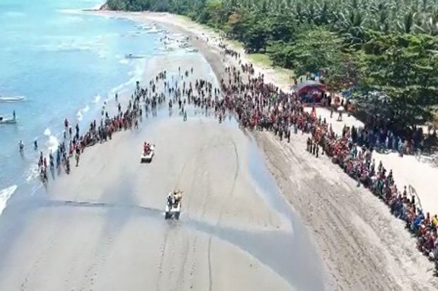 Serunya Nonton Balapan Sapi di Pantai Koa-koa