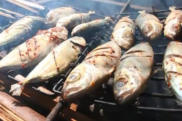 Serunya Nonton Balapan Sapi di Pantai Koa-koa