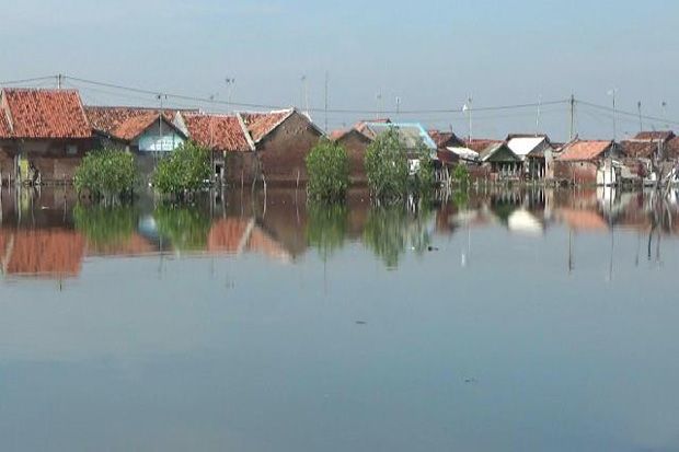 Banjir Air Pasang Kembali Melanda Pekalongan