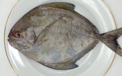 Ikan Air Tawar yang Sering Dikonsumsi Masyarakat Indonesia