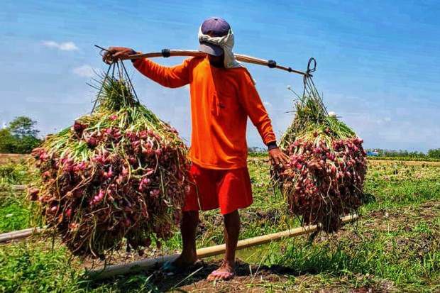 Swasembada Beras Terpenuhi