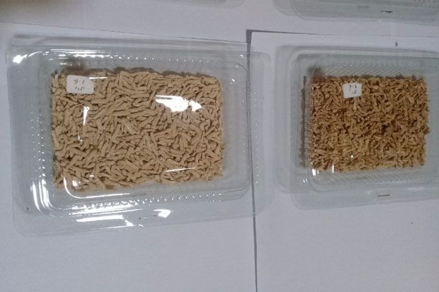 Beras Analog, Bahan Pangan Nasi bagi Penderita Diabetes